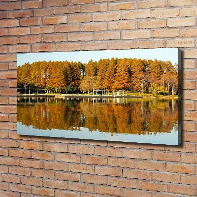 Quadro su tela Foresta in riva al lago