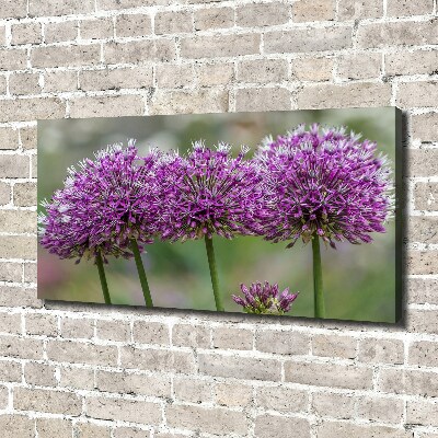 Quadro su tela Fiore d'aglio