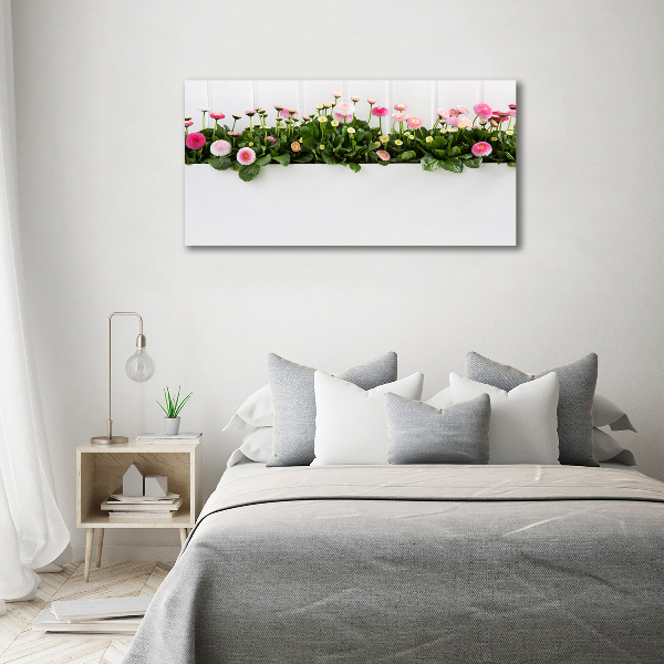 Foto quadro su tela Margherite rosa