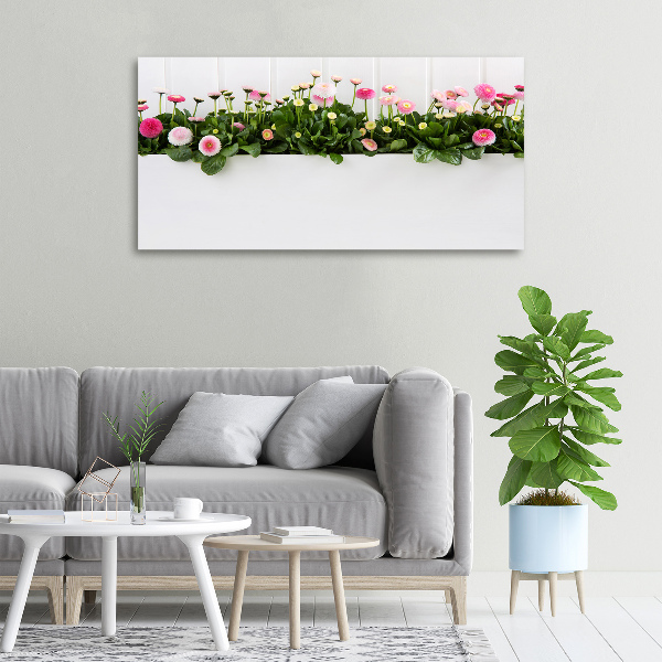 Foto quadro su tela Margherite rosa