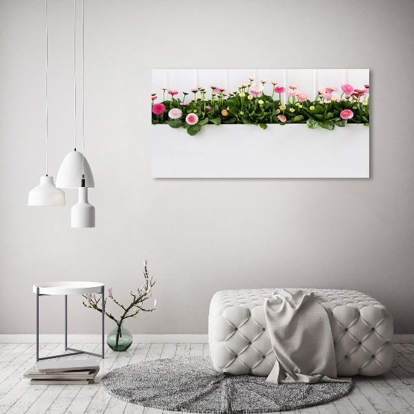 Foto quadro su tela Margherite rosa