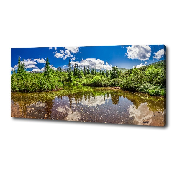 Foto quadro su tela Lago nella foresta