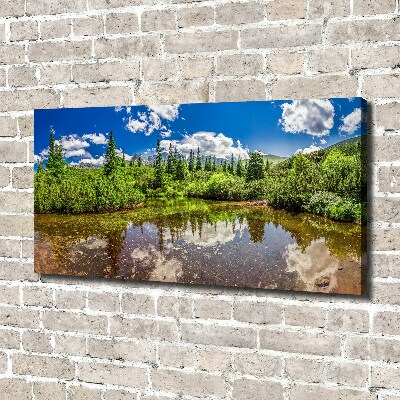 Foto quadro su tela Lago nella foresta