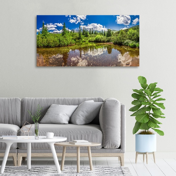 Foto quadro su tela Lago nella foresta