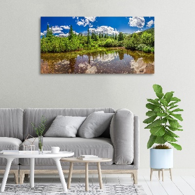 Foto quadro su tela Lago nella foresta