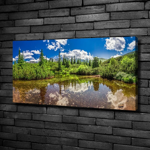 Foto quadro su tela Lago nella foresta