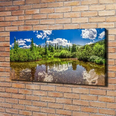 Foto quadro su tela Lago nella foresta
