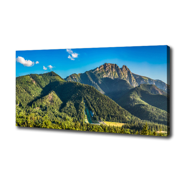 Foto quadro su tela Panorama dei Monti Tatra