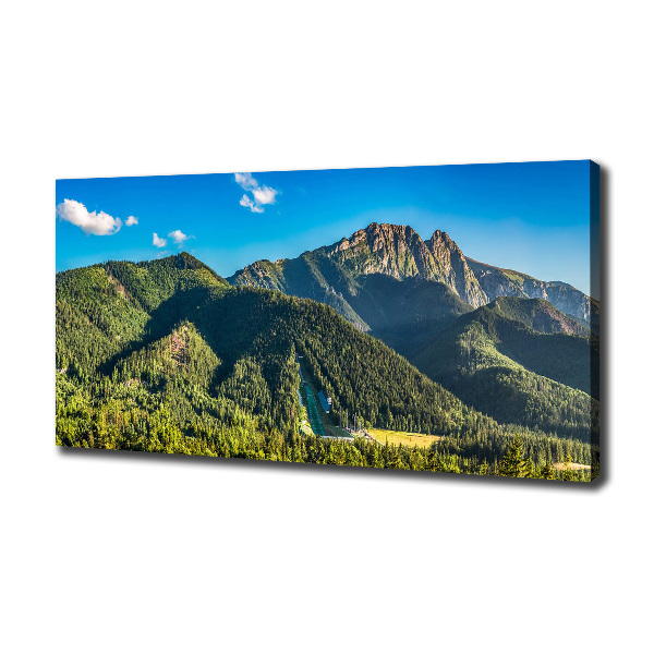Foto quadro su tela Panorama dei Monti Tatra