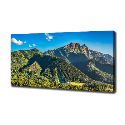 Foto quadro su tela Panorama dei Monti Tatra