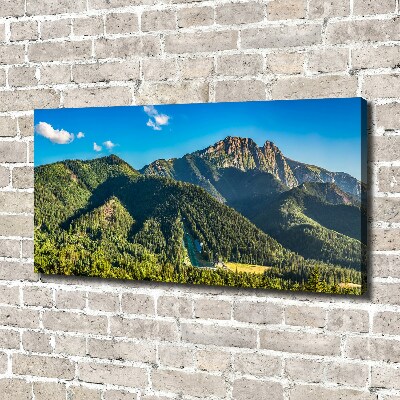 Foto quadro su tela Panorama dei Monti Tatra