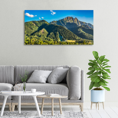 Foto quadro su tela Panorama dei Monti Tatra