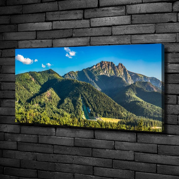 Foto quadro su tela Panorama dei Monti Tatra