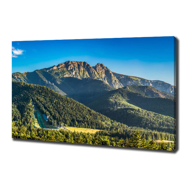 Foto quadro su tela Panorama dei Monti Tatra