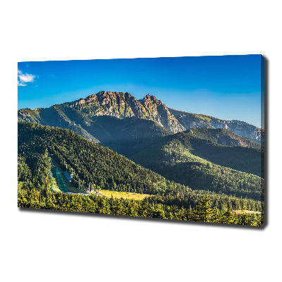 Foto quadro su tela Panorama dei Monti Tatra