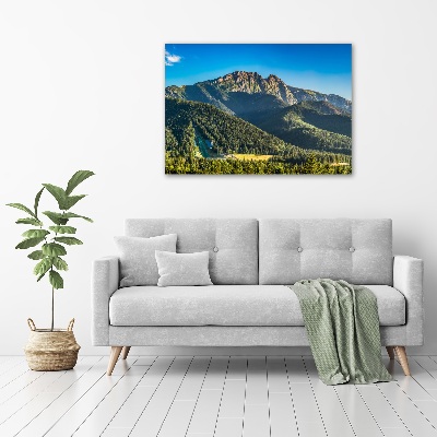 Foto quadro su tela Panorama dei Monti Tatra