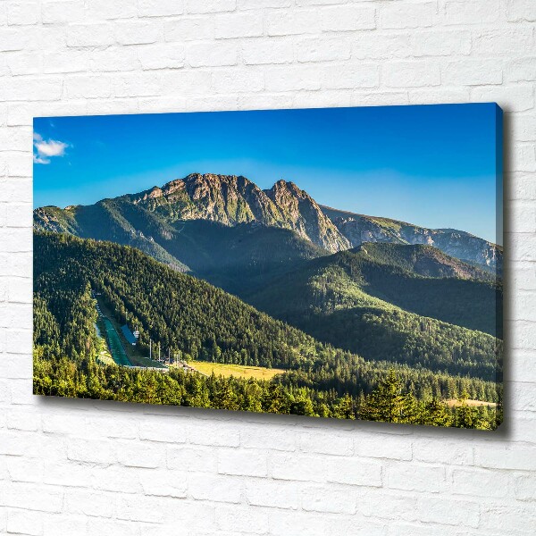 Foto quadro su tela Panorama dei Monti Tatra
