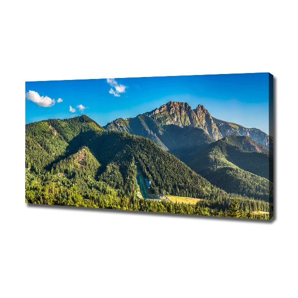 Foto quadro su tela Panorama dei Monti Tatra