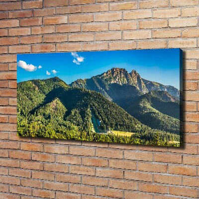 Foto quadro su tela Panorama dei Monti Tatra