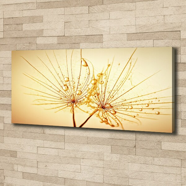 Quadro stampa su tela Semi di tarassaco