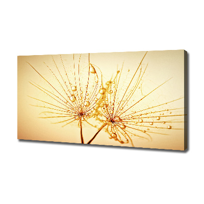 Quadro stampa su tela Semi di tarassaco