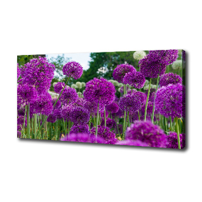 Foto quadro su tela Fiori d'aglio