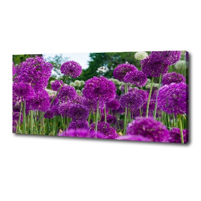 Foto quadro su tela Fiori d'aglio
