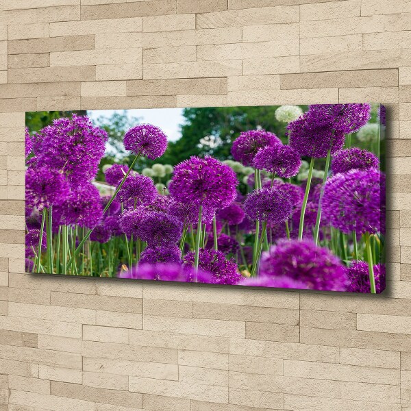 Foto quadro su tela Fiori d'aglio