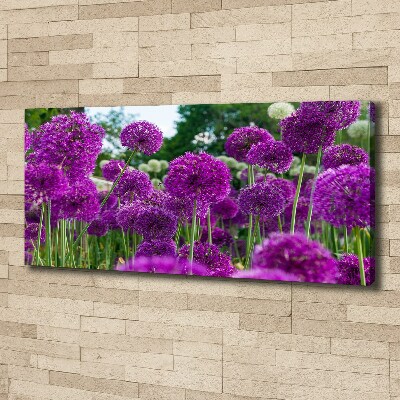 Foto quadro su tela Fiori d'aglio