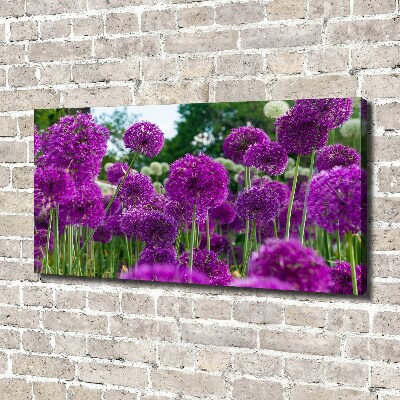 Foto quadro su tela Fiori d'aglio