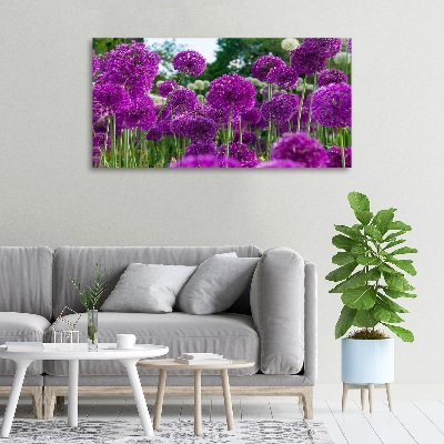 Foto quadro su tela Fiori d'aglio