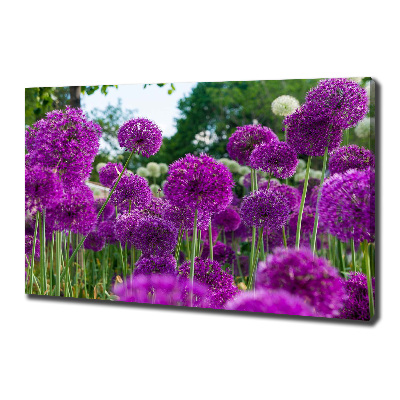 Foto quadro su tela Fiori d'aglio