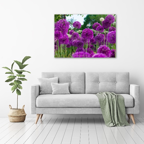 Foto quadro su tela Fiori d'aglio
