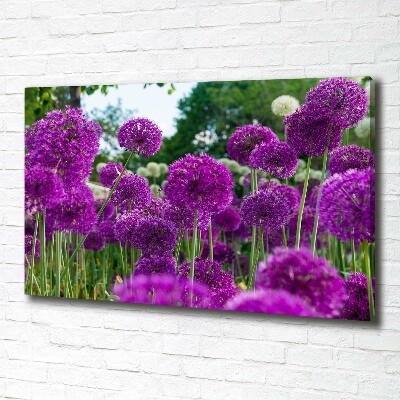 Foto quadro su tela Fiori d'aglio