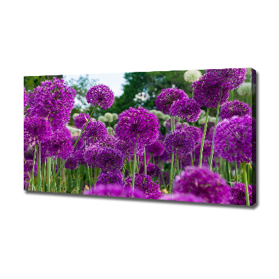 Foto quadro su tela Fiori d'aglio