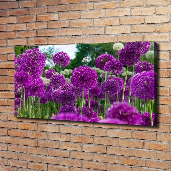 Foto quadro su tela Fiori d'aglio