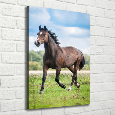 Stampa quadro su tela verticale Un cavallo in un campo