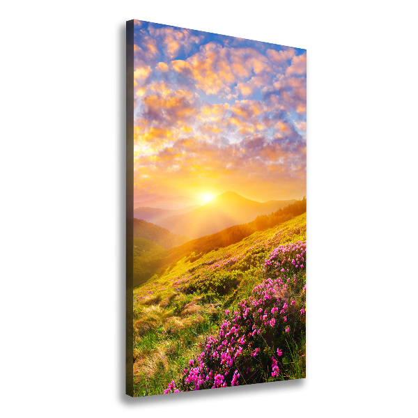 Quadro su tela canvas verticale Tramonto sulle montagne
