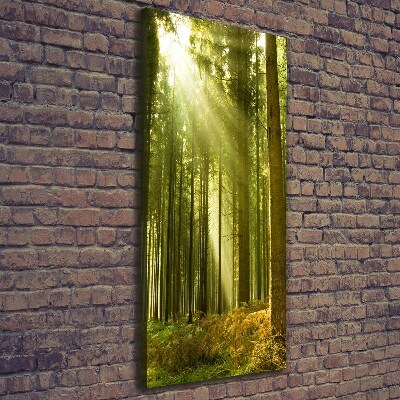 Quadro foto su tela verticale Il sole nella foresta