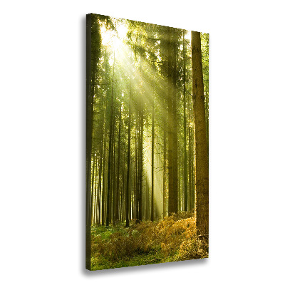 Quadro foto su tela verticale Il sole nella foresta