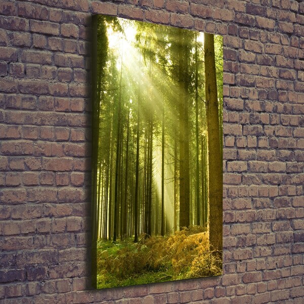 Quadro foto su tela verticale Il sole nella foresta