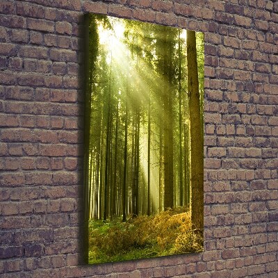 Quadro foto su tela verticale Il sole nella foresta