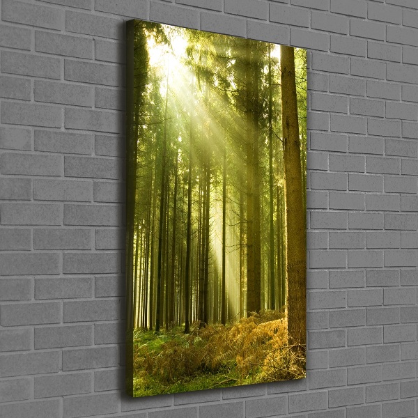Quadro foto su tela verticale Il sole nella foresta