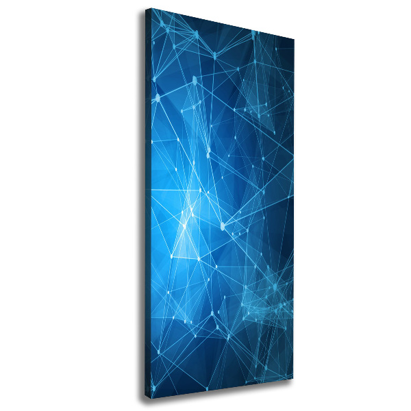 Stampa quadro su tela verticale Costellazione