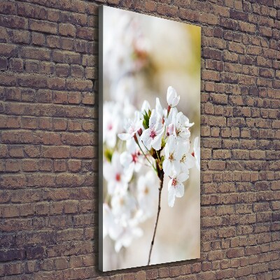 Quadro foto su tela verticale Fiori di ciliegio