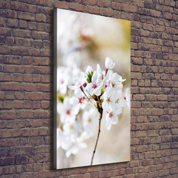 Quadro foto su tela verticale Fiori di ciliegio