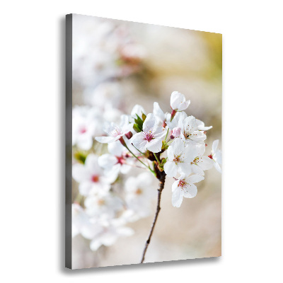 Quadro foto su tela verticale Fiori di ciliegio