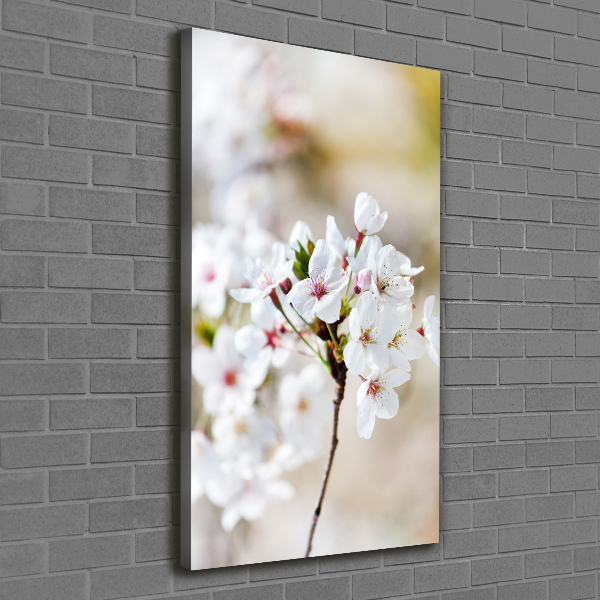 Quadro foto su tela verticale Fiori di ciliegio