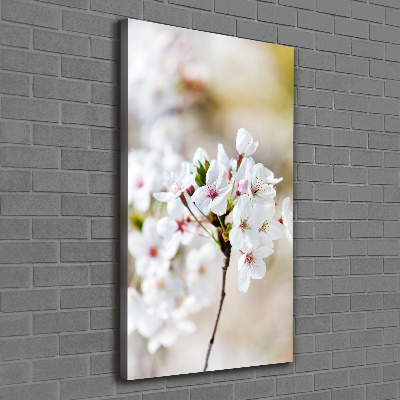 Quadro foto su tela verticale Fiori di ciliegio