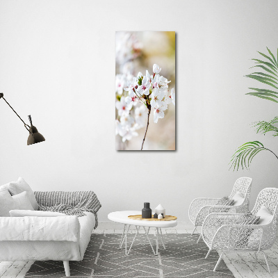 Quadro foto su tela verticale Fiori di ciliegio